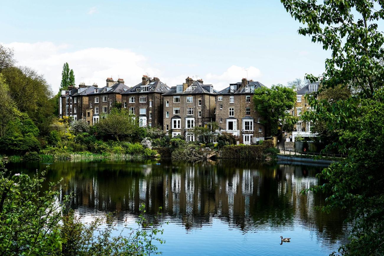 A pond on Hampstead Heath with houses beyond