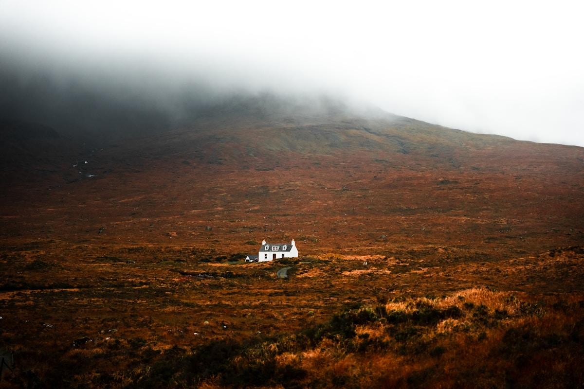 A misty moor in the British Isles