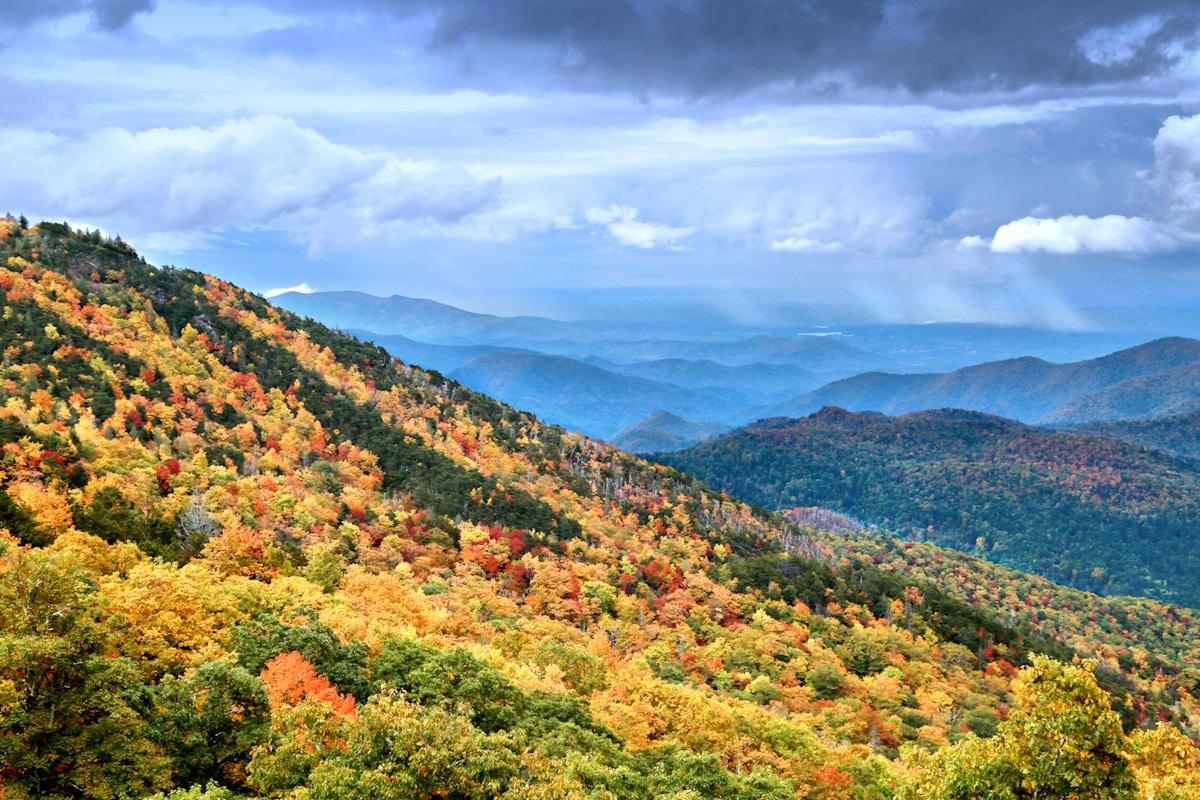 Rolling hills in autumn color