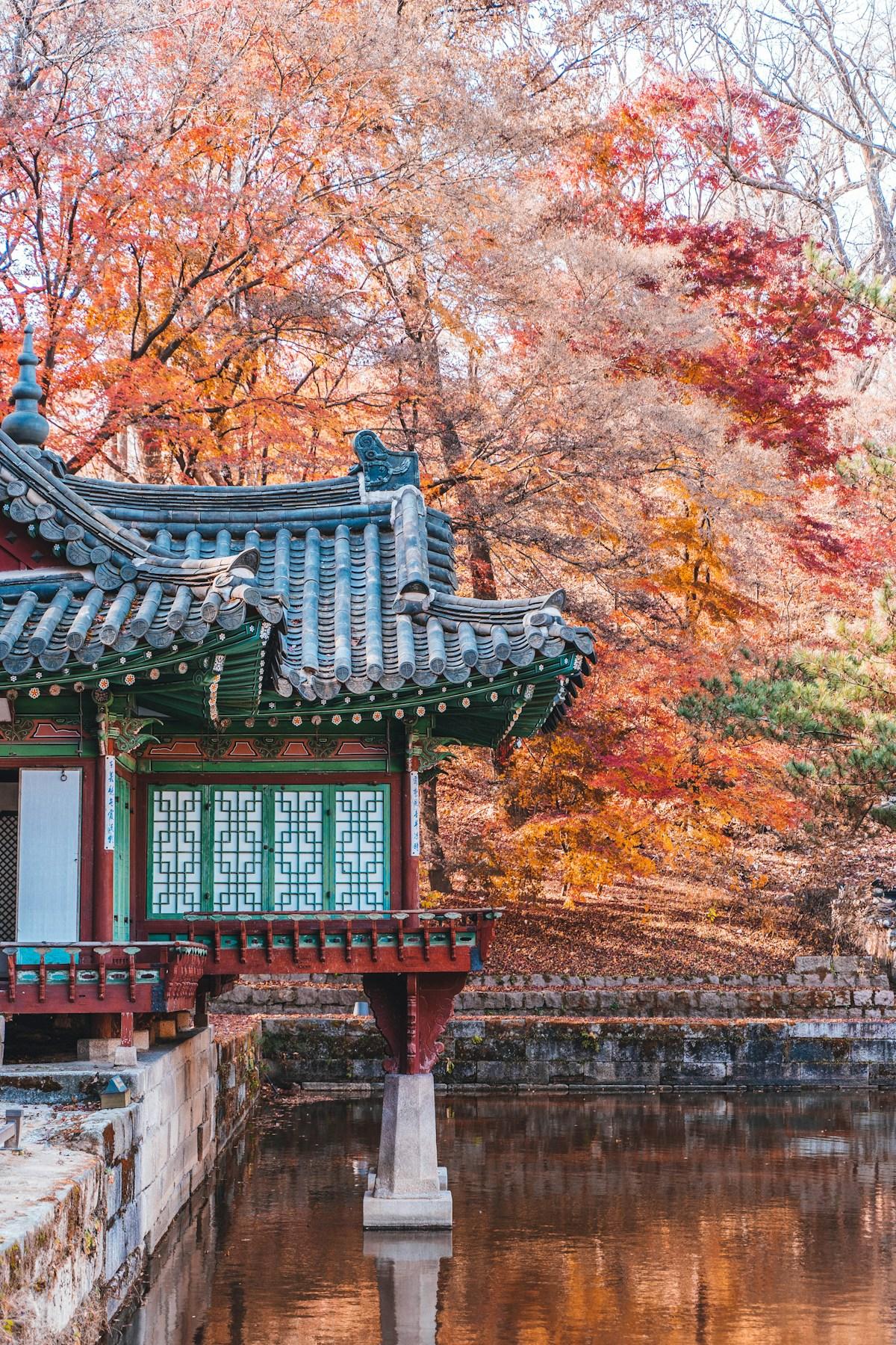 A traditional Korean pavilion framed by red and orange autumn leaves