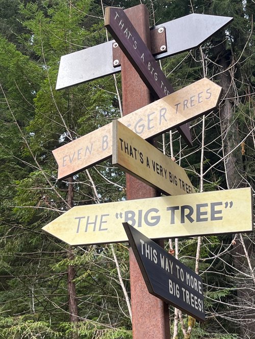 A wooden trail sign in a forest